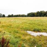 Traffic junction issue delays Dundee stadium plan